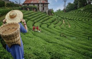 İzmir Çıkışlı Karadeniz Macerası ve Batum Turu (3 Gece Konaklama)